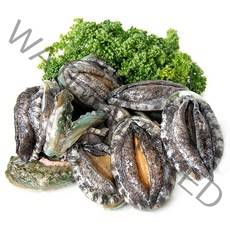 하늘뜰 산지직송 완도 참 꼬마전복 400g(20-30마리), 단품, 단품, 1개
