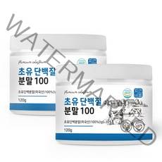 초유 단백질 분말 100% 면역글로불린 igG 20% 유단백추출물 MBP 가루 프로틴, 120g x 2개
