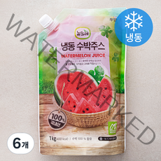뉴뜨레 수박 주스 (냉동), 1kg, 6개