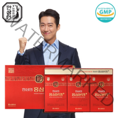 [농협 한삼인] 홍삼본연플러스 (50mX30포)쇼핑백증정 오늘출발, 1박스, 홍삼본연플러스 (50mX15포-두박스), 15포