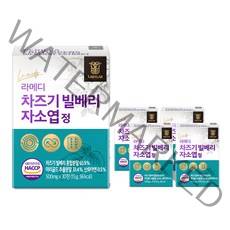 라메디 고농축 차즈기 추출물 빌베리 눈 자소엽 캡슐, 5개, 15g