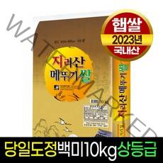 [23년햅쌀][명가미곡] 지리산메뚜기쌀 백미10Kg 상등급 판매자당일직도정, 1개, 10Kg