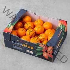 귤탐 당도선별 하우스 감귤 로열과, 3kg(S~M), 1박스