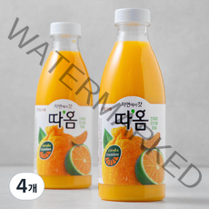 따옴 천혜향 한라봉 청귤 주스, 730ml, 4개