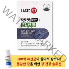 락토핏 둔감한 장 450mg * 30캡슐 (1박스) - 100억 유산균 장건강 장용성 락토핏 솔루션1 프로바이오틱스 변비 배변원활 쾌변 유산균 신바이오틱스 면역력 장 강화, 1박스, 1개