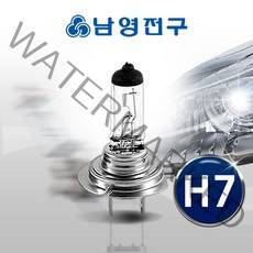 남영 이글아이 할로겐 전조등 H7 12V 55W 자동차전구, 1개