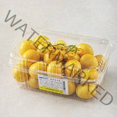 탐라황감 꼬마감귤, 1.2kg, 1팩
