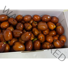 산지직송 보은 생대추 사과대추 1kg 고당도 건조 대추 건 말린대추 중과 대과 선물용 싱싱한 건대추 큼직한 생대추 달콤 아삭, 1통, 생 보은대추1kg중(24mm)