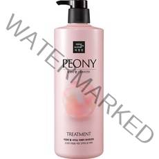 미쟝센 펄 샤이닝 리페어 트리트먼트 피오니향, 1000ml, 1개