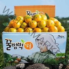 달콤새콤 꿀범벅 타이벡 감귤, 4.5kg 로얄과(S or M)