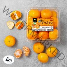 GAP 인증 해풍맞은 올레길 당도선별 하우스감귤, 1kg, 4개