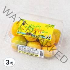 귤탐 당도선별 하우스감귤, 500g(2S-M), 3팩