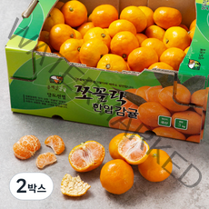 GAP 올레길 쪼꼴락 당도선별 10brix감귤, 3kg, 2박스