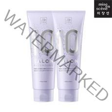 미쟝센 살롱 플러스 10 극손상용 트리트먼트 250ml 무배, 2개, 1개
